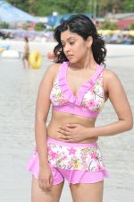 Payal Ghosh (Harika) in Bikini Swimwear Photoshoot on 30th May 2010 (74).JPG